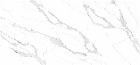 Calacatta Quartz
